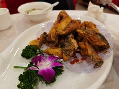 -寻味顺德·南记酒家·传统顺德菜·鱼生(广源路店)
