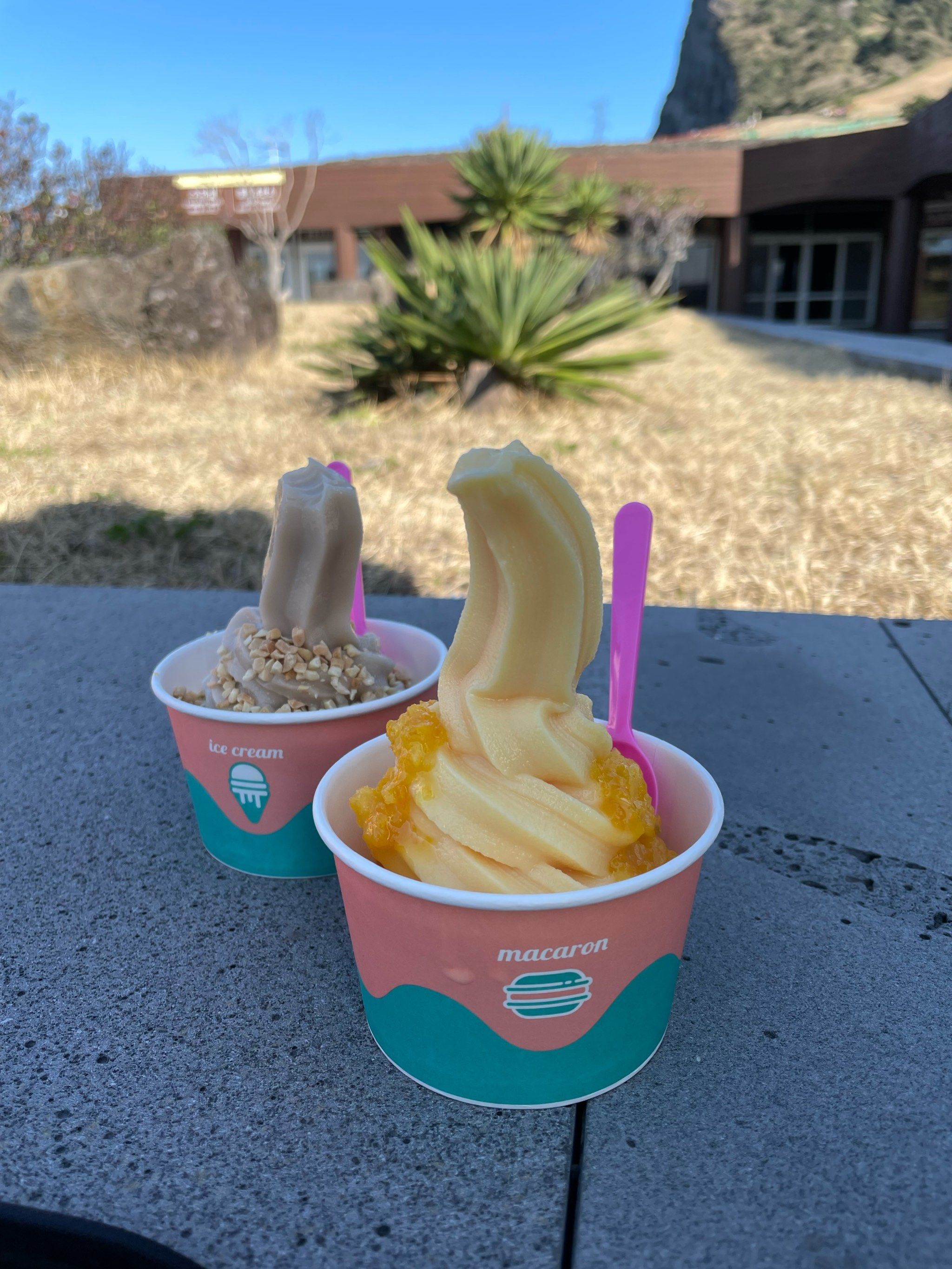 这个橘子冰淇淋太好吃了吧