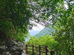 -汉中石门栈道风景区