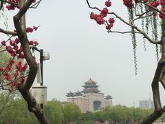 -莲花池公园