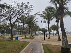 -野狸岛