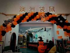-澳洲袋鼠早教(南二环店)