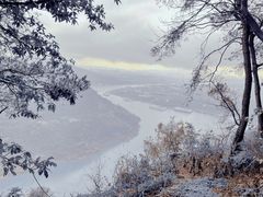 -铁山坪森林公园