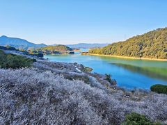 -广州市流溪河国家森林公园