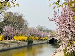 -元大都城垣遗址公园