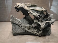 -自贡恐龙博物馆