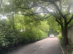 -旅马餐厅(茅家埠店)