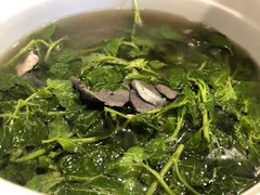 -丰食农家乐