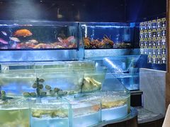 -金翠皇宫粤菜·点心·海鲜(翡翠店)