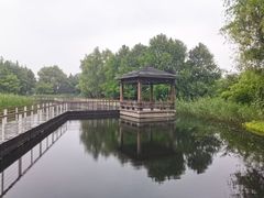 -同里国家湿地公园