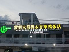 -霞姐屯昌枫木香草鸭店(海螺店)