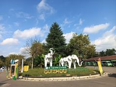 -贵州森林野生动物园
