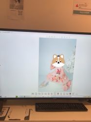-倾城宝贝儿童摄影(广州天河店)