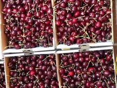 -江杨农产品批发市场