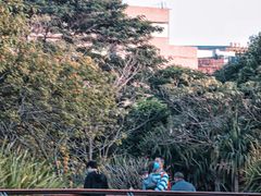 -福田红树林生态公园