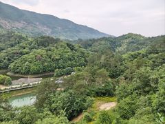 -仙岛湖旅游风景区