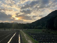 -八卦田遗址公园