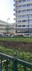 -首都医科大学附属北京儿童医院