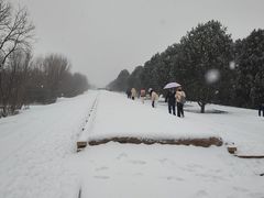-秦始皇帝陵博物院-丽山园
