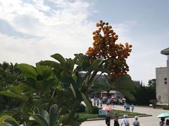 -秦始皇帝陵博物院-丽山园