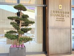 -上海前滩香格里拉大酒店