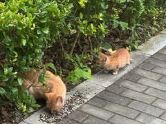 -东华大学(松江校区)