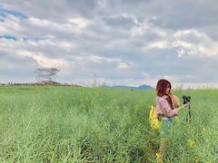 -光明小镇欢乐田园