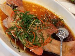 -四海之家(蛇口店)