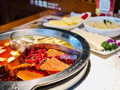 奔驰锅-大龙燚火锅(天钥桥路店)