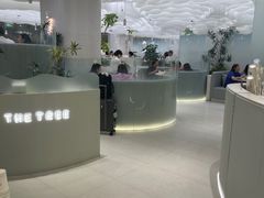 -大树餐厅(朝阳大悦城店)