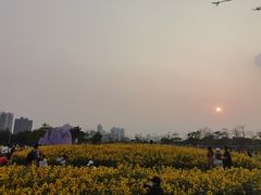 -海心沙亚运公园