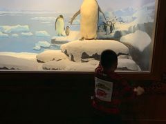 -贝林大翅鲸简餐厅(国家海洋博物馆店)