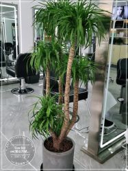 -Coo Hair salon