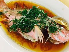 -新金盛·海鲜酒楼(盐田店)