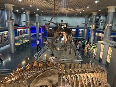 -国家自然博物馆