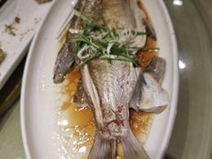 清蒸武昌鱼-刘胖子家常菜·蹄花焖藕(中南店)