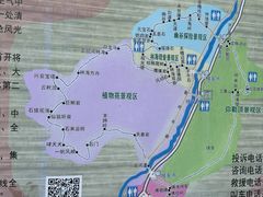 -汤旺河林海奇石景区