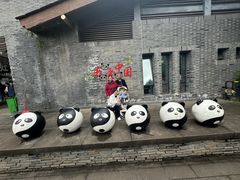 -都江堰中华大熊猫苑
