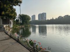 -沙市市中山公园