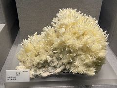 -贵州省地质博物馆