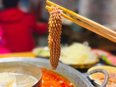 -洋马儿火锅(解放碑店)