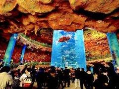 -青岛嘉年华主题乐园