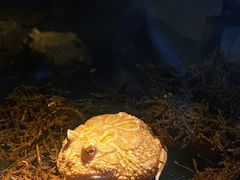 -绿色星球动物主题公园