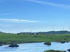 -御道口草原森林风景区