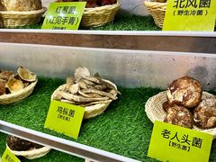 -菌海森林·非遗野生菌火锅(西山区滇池路摩根道店)