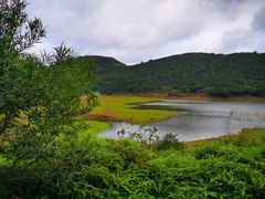 -大姆山草场