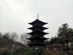 -北京世界公园