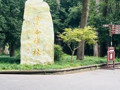 -灵谷景区