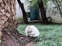 -西园戒幢律寺