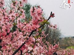 -前关湿地公园